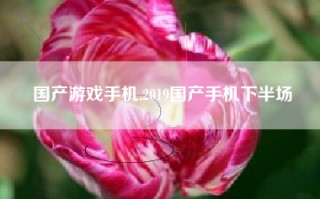 国产游戏手机,2019国产手机下半场
