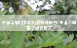 王者荣耀铭文和出装在哪里看_王者荣耀猴子出装铭文