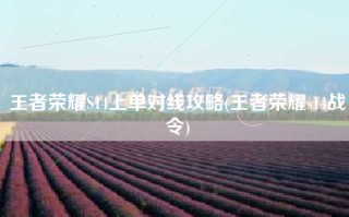 王者荣耀S14上单对线攻略(王者荣耀s14战令)