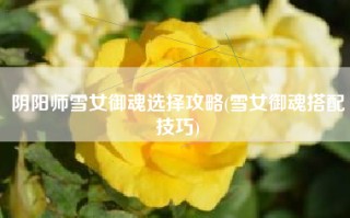 阴阳师雪女御魂选择攻略(雪女御魂搭配技巧)