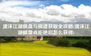 濡沫江湖棋盘与棋谱获取全攻略(濡沫江湖棋盘点拒绝后怎么获得)