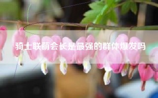 骑士联萌会长是最强的群体爆发吗