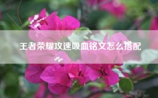 王者荣耀攻速吸血铭文怎么搭配