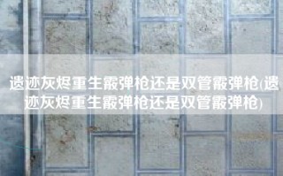 遗迹灰烬重生霰弹枪还是双管霰弹枪(遗迹灰烬重生霰弹枪还是双管霰弹枪)