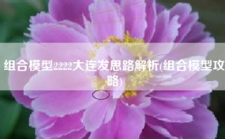 组合模型2222大连发思路解析(组合模型攻略)