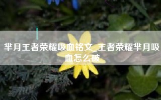 芈月王者荣耀吸血铭文_王者荣耀芈月吸血怎么破