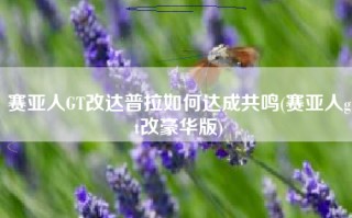 赛亚人GT改达普拉如何达成共鸣(赛亚人gt改豪华版)