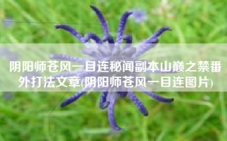 阴阳师苍风一目连秘闻副本山巅之禁番外打法文章(阴阳师苍风一目连图片)