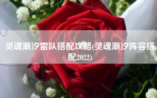 灵魂潮汐雷队搭配攻略(灵魂潮汐阵容搭配2022)