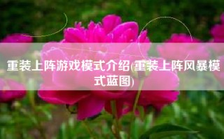 重装上阵游戏模式介绍(重装上阵风暴模式蓝图)