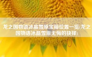 龙之国物语冰晶雪原宝箱位置一览(龙之国物语冰晶雪原无悔的抉择)