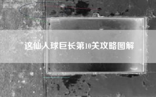 这仙人球巨长第10关攻略图解