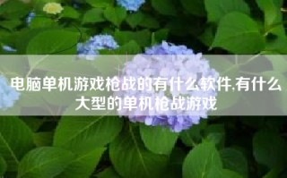 电脑单机游戏枪战的有什么软件,有什么大型的单机枪战游戏