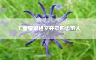王者荣耀铭文夺萃四舍五入