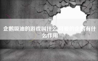 企鹅吸油的游戏叫什么,可爱的企鹅有什么作用