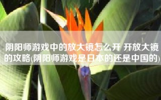 阴阳师游戏中的放大镜怎么开 开放大镜的攻略(阴阳师游戏是日本的还是中国的)