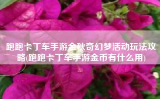 跑跑卡丁车手游金秋奇幻梦活动玩法攻略(跑跑卡丁车手游金币有什么用)