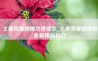 王者荣耀露娜功速铭文_王者荣耀露娜用金箍棒玩自己