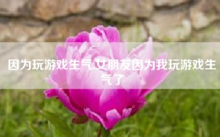 因为玩游戏生气,女朋友因为我玩游戏生气了
