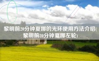 黎明前20分钟夏娜的光环使用方法介绍(黎明前20分钟夏娜左轮)