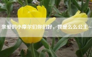 亲爱的小摩尔们你们好，我是么么公主~
