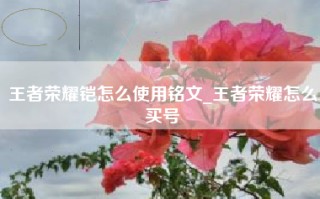 王者荣耀铠怎么使用铭文_王者荣耀怎么买号
