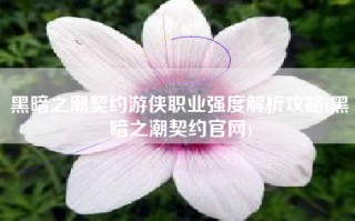 黑暗之潮契约游侠职业强度解析攻略(黑暗之潮契约官网)