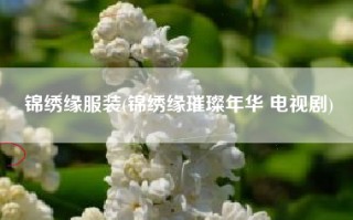 锦绣缘服装(锦绣缘璀璨年华 电视剧)