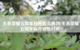 王者荣耀五周年称号怎么得到(王者荣耀五周年称号领取时间)