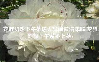 龙族幻想下午茶达人异闻做法详解(龙族幻想下午茶不上菜)