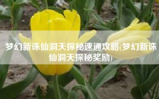 梦幻新诛仙洞天探秘速通攻略(梦幻新诛仙洞天探秘奖励)