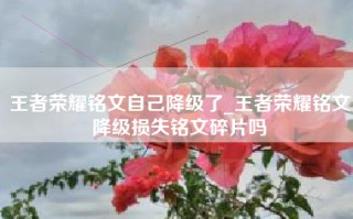 王者荣耀铭文自己降级了_王者荣耀铭文降级损失铭文碎片吗