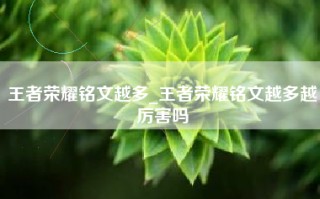 王者荣耀铭文越多_王者荣耀铭文越多越厉害吗