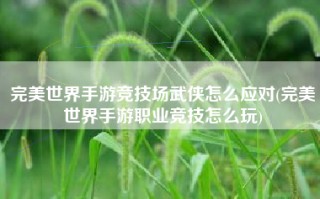 完美世界手游竞技场武侠怎么应对(完美世界手游职业竞技怎么玩)