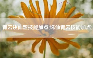 青云诀仙盟技能加点(诛仙青云技能加点)