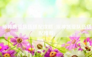原神凯亚队伍搭配攻略 (原神凯亚队伍搭配推荐)