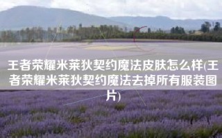 王者荣耀米莱狄契约魔法皮肤怎么样(王者荣耀米莱狄契约魔法去掉所有服装图片)
