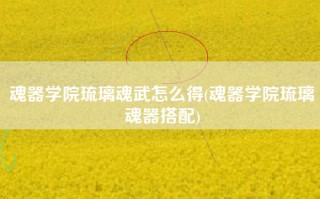魂器学院琉璃魂武怎么得(魂器学院琉璃魂器搭配)
