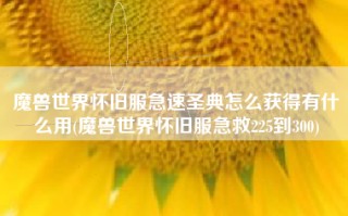 魔兽世界怀旧服急速圣典怎么获得有什么用(魔兽世界怀旧服急救225到300)