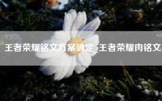 王者荣耀铭文方案确定_王者荣耀肉铭文
