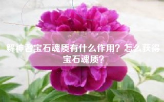 解神者宝石魂质有什么作用？怎么获得宝石魂质？