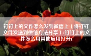 钉钉上的文件怎么发到微信上（将钉钉文件发送到微信方法分享）(钉钉上的文件怎么用其他应用打开)
