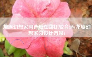 龙族幻想家园选址在哪比较合适(龙族幻想家园设计方案)