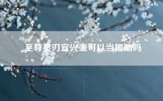 至尊灵刃宜兴壶可以当援助吗
