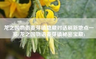 龙之国物语麦芽镇隐藏对话刷新地点一览(龙之国物语麦芽镇秘密宝藏)