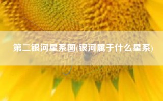 第二银河星系图(银河属于什么星系)