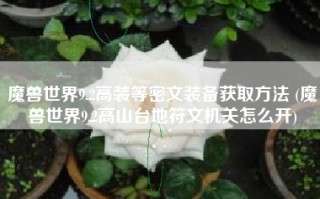 魔兽世界9.2高装等密文装备获取方法 (魔兽世界9.2高山台地符文机关怎么开)