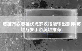 英雄万岁英雄伏虎罗汉技能输出测评(英雄万岁手游英雄推荐)