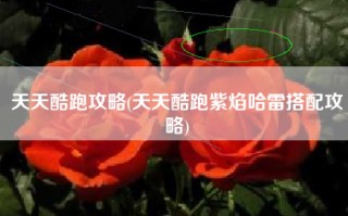 天天酷跑攻略(天天酷跑紫焰哈雷搭配攻略)