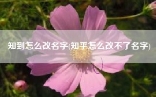 知到怎么改名字(知乎怎么改不了名字)